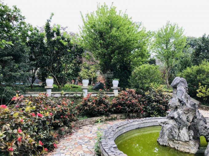 Bán Gấp khu nhà vườn siêu đẹp nằm trong quần thể Top Hill Villas tại Lương Sơn, Hòa Bình