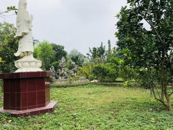 Bán Gấp khu nhà vườn siêu đẹp nằm trong quần thể Top Hill Villas tại Lương Sơn, Hòa Bình