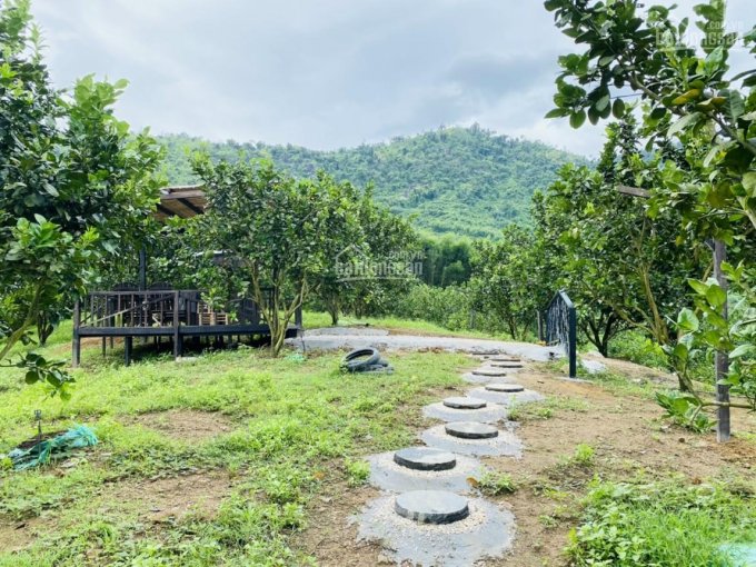 Hơn 1ha đất vườn Khánh Phú - Khánh Vĩnh giá đầu tư