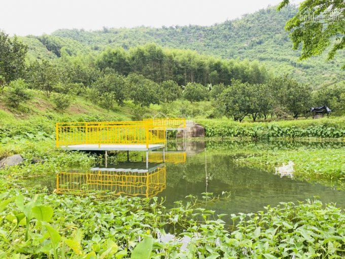 Hơn 1ha đất vườn Khánh Phú - Khánh Vĩnh giá đầu tư