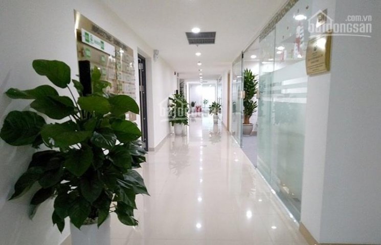 Cho thuê sàn văn phòng tòa Viwaseen 48 Tố Hữu, DT 132.3m2 và 200m2 full nội thất văn phòng