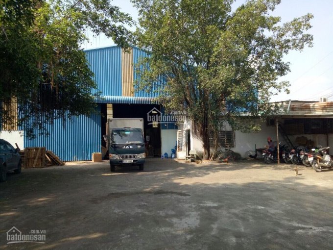 Bán xưởng đường nhựa xe container Thái Hòa, Tân Uyên giá cực rẻ