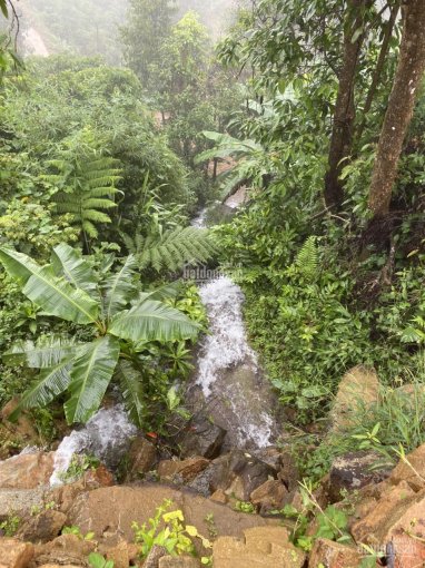 Bán đất nghỉ dưỡng view thác nước tuyệt đẹp, TP Bảo Lộc