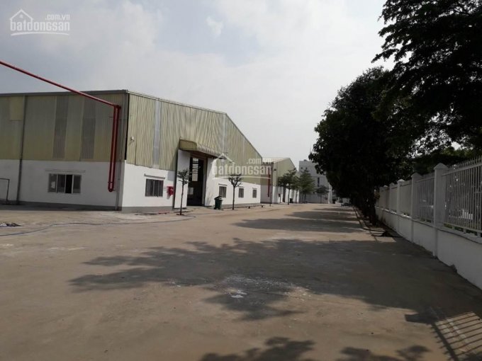 Cần bán nhà xưởng tổng 24.956m2 trong KCN Hải Sơn, Đức Hòa, Long An