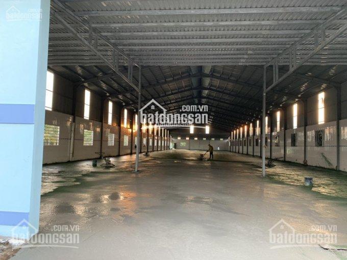 Bán kho xưởng TDT 11700 m2, Mỹ Phước Tây, Cai Lậy, Tiền Giang