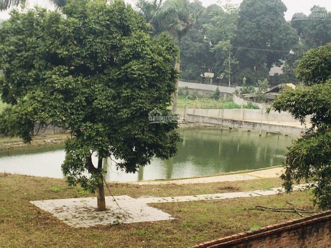 Cần nhượng gấp khuôn viên hoàn thiện đẹp tại Lương Sơn, Hòa Bình