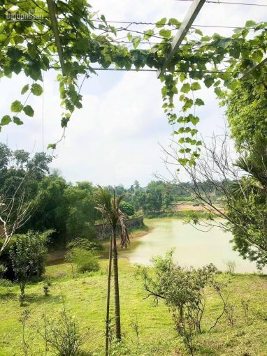 Cần bán khuôn viên 1550m2 view hồ tại Cư Yên, Lương Sơn, Hòa Bình cách TT Hà Nội chỉ 45p lái xe