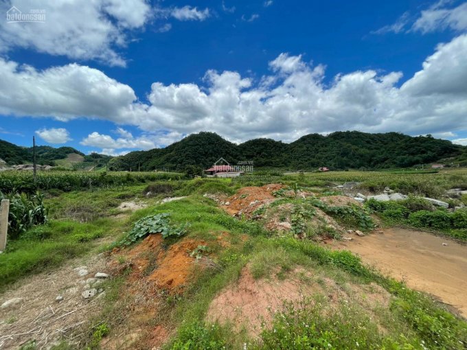 Mảnh đất đẹp nhất khu vực TT Nông Trường Mộc Châu - Phù hợp làm homestay