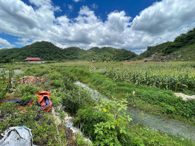 Mảnh đất đẹp nhất khu vực TT Nông Trường Mộc Châu - Phù hợp làm homestay