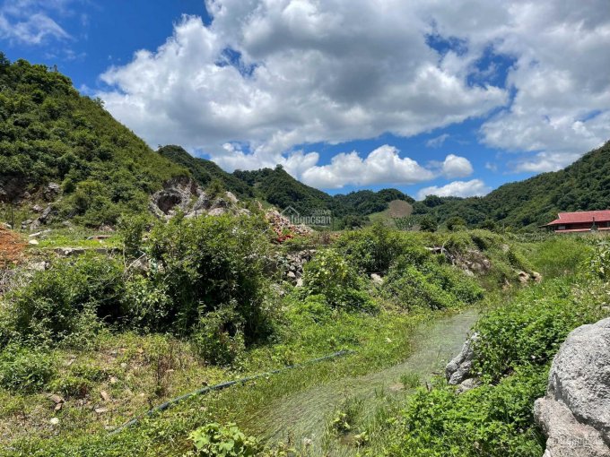 Mảnh đất đẹp nhất khu vực TT Nông Trường Mộc Châu - Phù hợp làm homestay