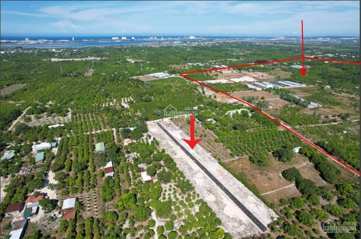 800 triệu sở hữu lô đất nền siêu đẹp 102m2 đối diện KCN Tân Lập và đường Đại Hàn, Cam Lâm, Bãi Dài