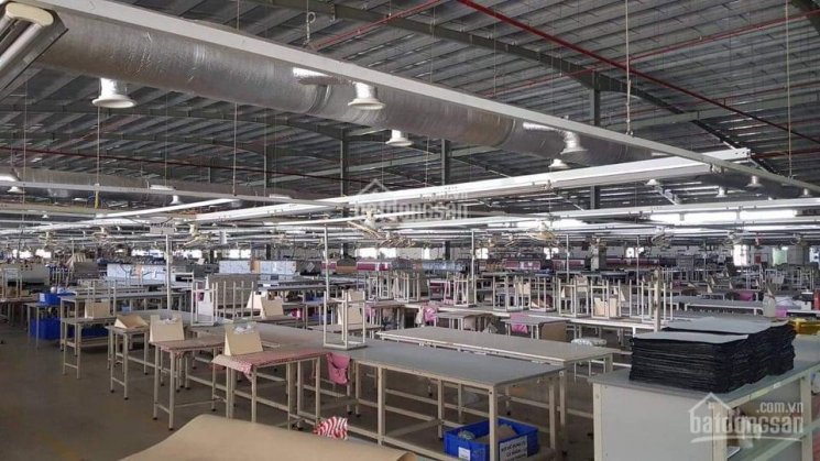Chuyển nhượng nhà máy, xưởng sản xuất 40,000m2 KCN Tân Hương, Châu thành, Tiền Giang