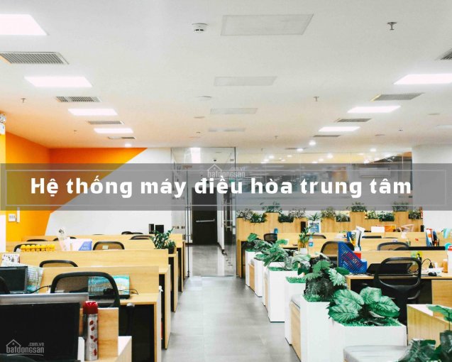 Văn phòng trong tòa nhà gần sân bay Đà Nẵng -diện tích 36m2