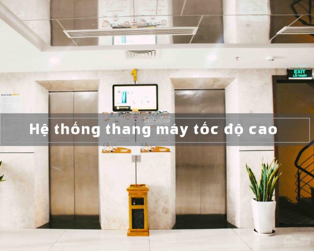 Văn phòng trong tòa nhà gần sân bay Đà Nẵng -diện tích 36m2