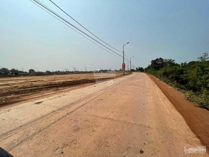 Bán đất kho xưởng diện tích 500m2 đường 303 xã Nguyệt Đức Yên Lạc