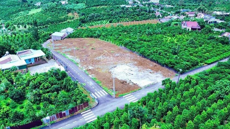 Bán đất nền khu ghỉ dưỡng Thành phố Bảo Lộc - Vị trí đất ĐẸP - Giá cực ƯU ĐÃI cho khách đầu tư