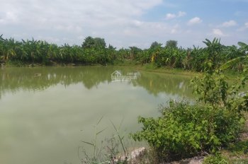 Bán nhà vườn nghỉ dưỡng 5.4 sào xã Vĩnh Tân, Vĩnh Cửu, Đồng Nai