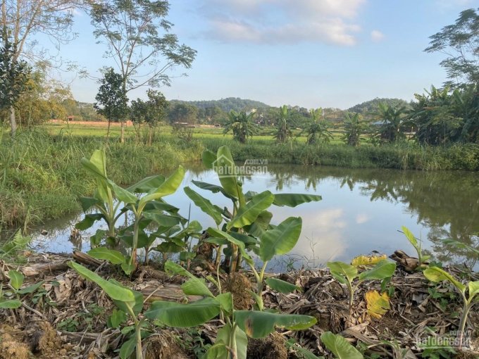 Rẻ và đẹp view cánh đồng có ao trong đất tại Yên Bài gần 2000m2 giá chưa đến 3 tỷ, L/H: 0974715503