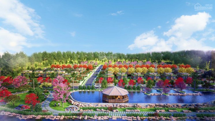 Chỉ từ 660 triệu sở hữu ngay tuyệt tác nghỉ dưỡng từ thiên nhiên tại Bảo Lộc, Phố Hoa Hillside