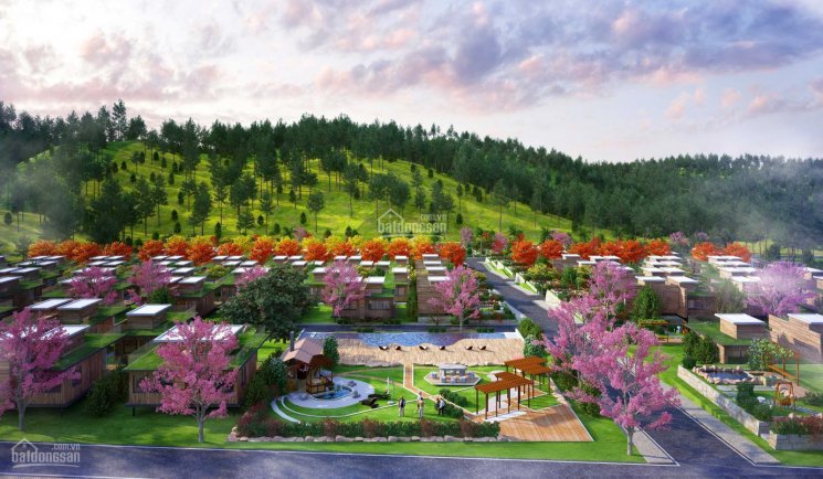 Chỉ từ 660 triệu sở hữu ngay tuyệt tác nghỉ dưỡng từ thiên nhiên tại Bảo Lộc, Phố Hoa Hillside