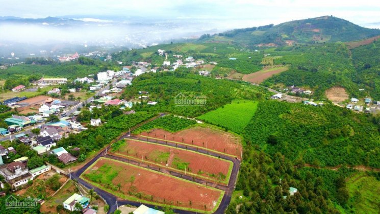 10 suất nội bộ vị trí đẹp Làng Nhật Ogimi Village Bảo Lộc