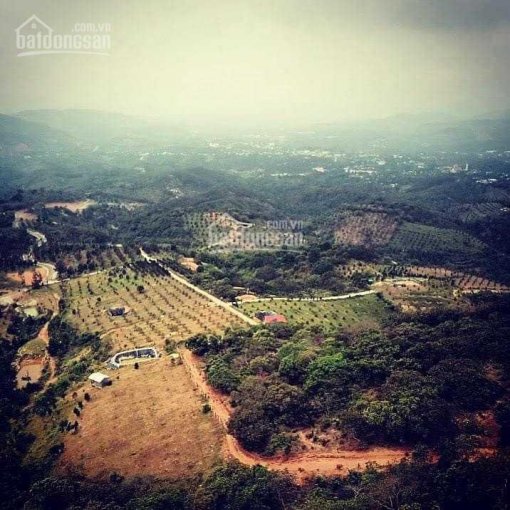 Bán vườn hơn 2 hecta view tuyệt đẹp thị trấn Đạ M'Ri, Đạ Huoai, Lâm Đồng