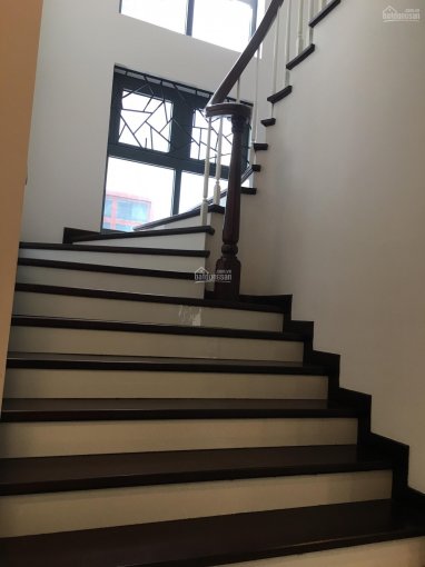 Cho thuê shophouse tại phố Hàm Nghi, DT 100m2 * 5 tầng, MT 6m, thông sàn, thang máy. Giá chỉ 45tr