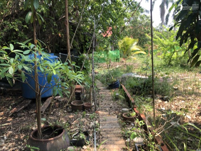 Cần bán nhà vườn mặt tiền đường và rạch sau nhà, gần chợ Long Phước, thổ cư giá gấp 6,6 tỷ
