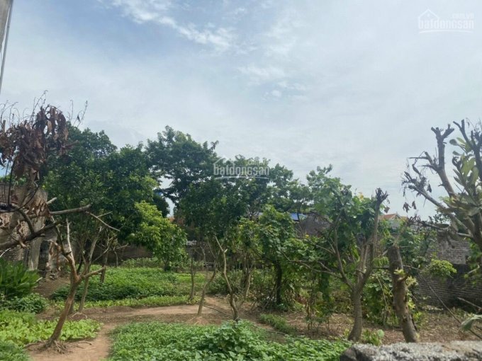 Xã Tân Châu - huyện Khoái Châu - Hưng Yên cần bán nhanh mảnh đất diện tích 512m2 giá 25.5tr/m2