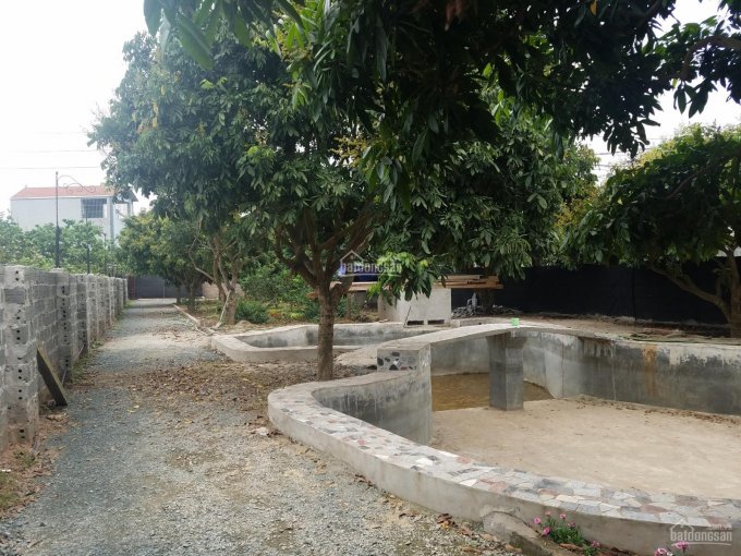 Bán trang trại S 1088m2 tại Sài Sơn, Quốc Oai, có nhà, khuôn viên đẹp bể bơi, cây ăn quả. Giá 3 tỷ