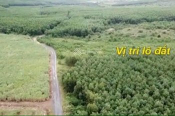 Cần bán 39ha đất rẫy tại Ninh Tân, Ninh Hoà, Khánh Hoà, giá 500tr/ha