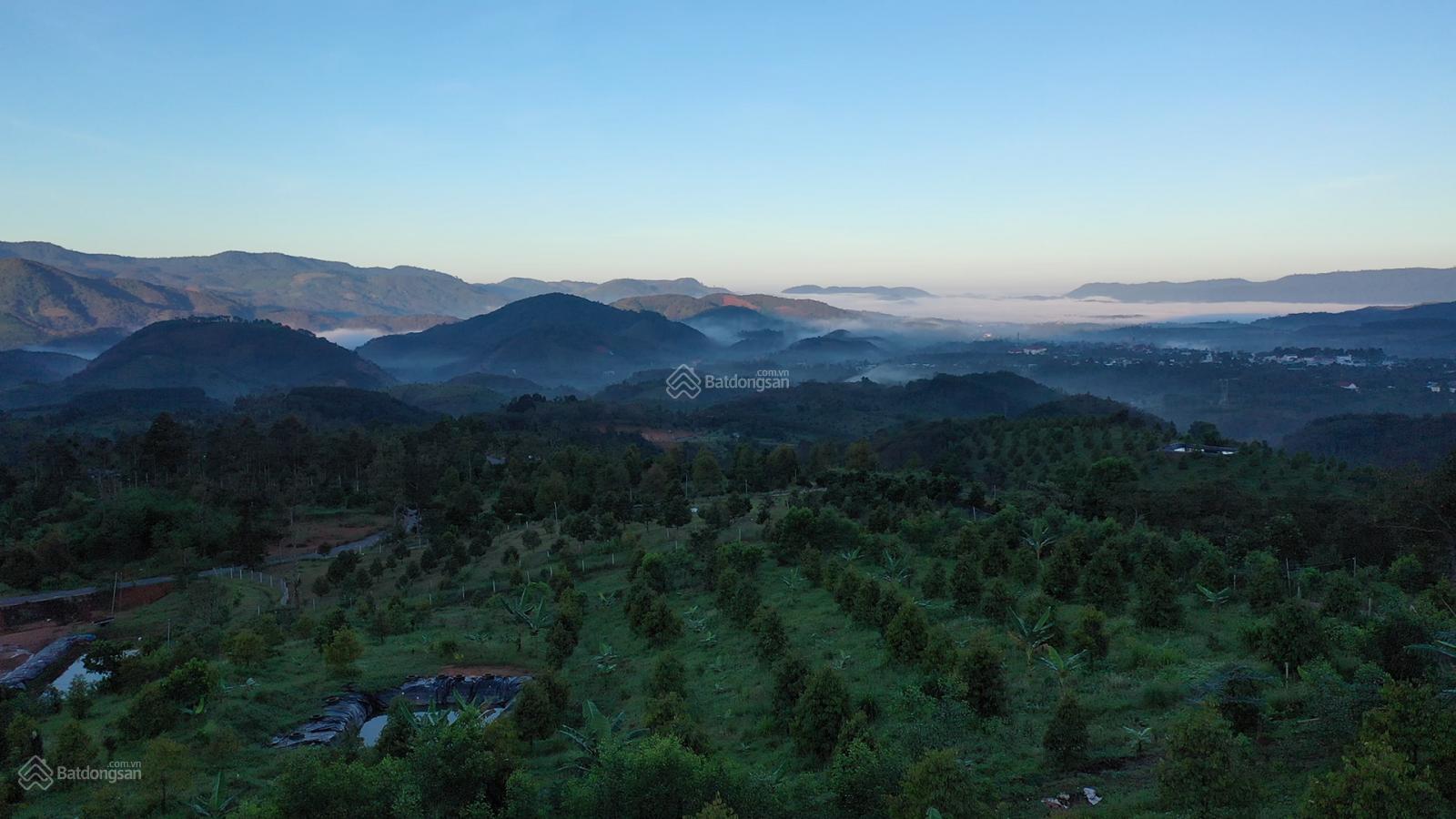 Bán 6,700m2 vườn sầu riêng view đẹp nhìn toàn cảnh rừng và thị trấn Đạm Bri, đỉnh núi Lubu