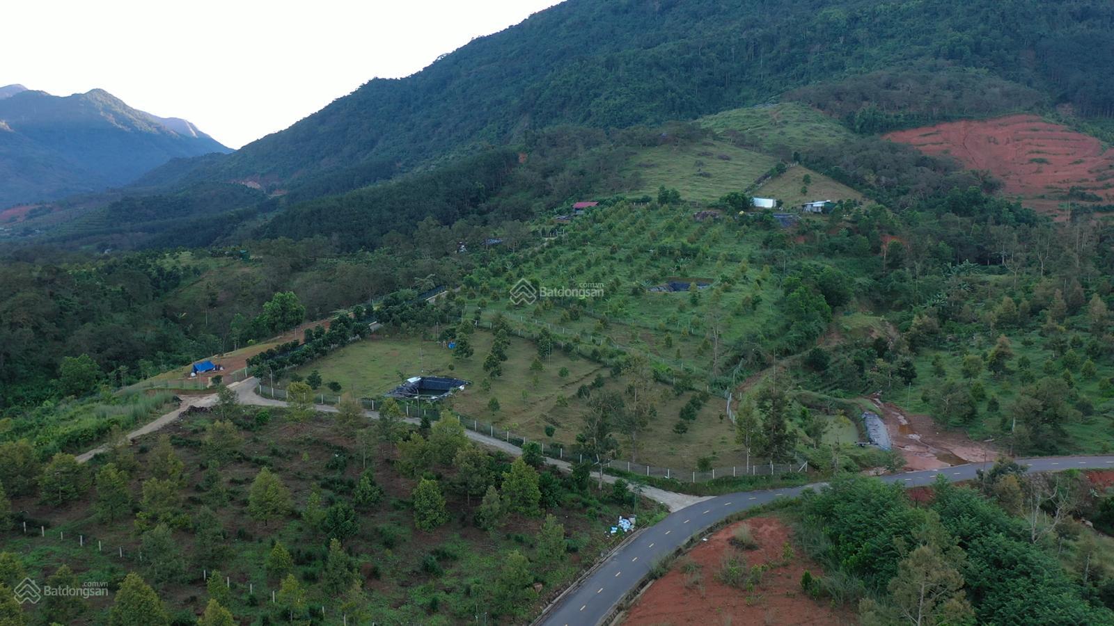 Bán 6,700m2 vườn sầu riêng view đẹp nhìn toàn cảnh rừng và thị trấn Đạm Bri, đỉnh núi Lubu
