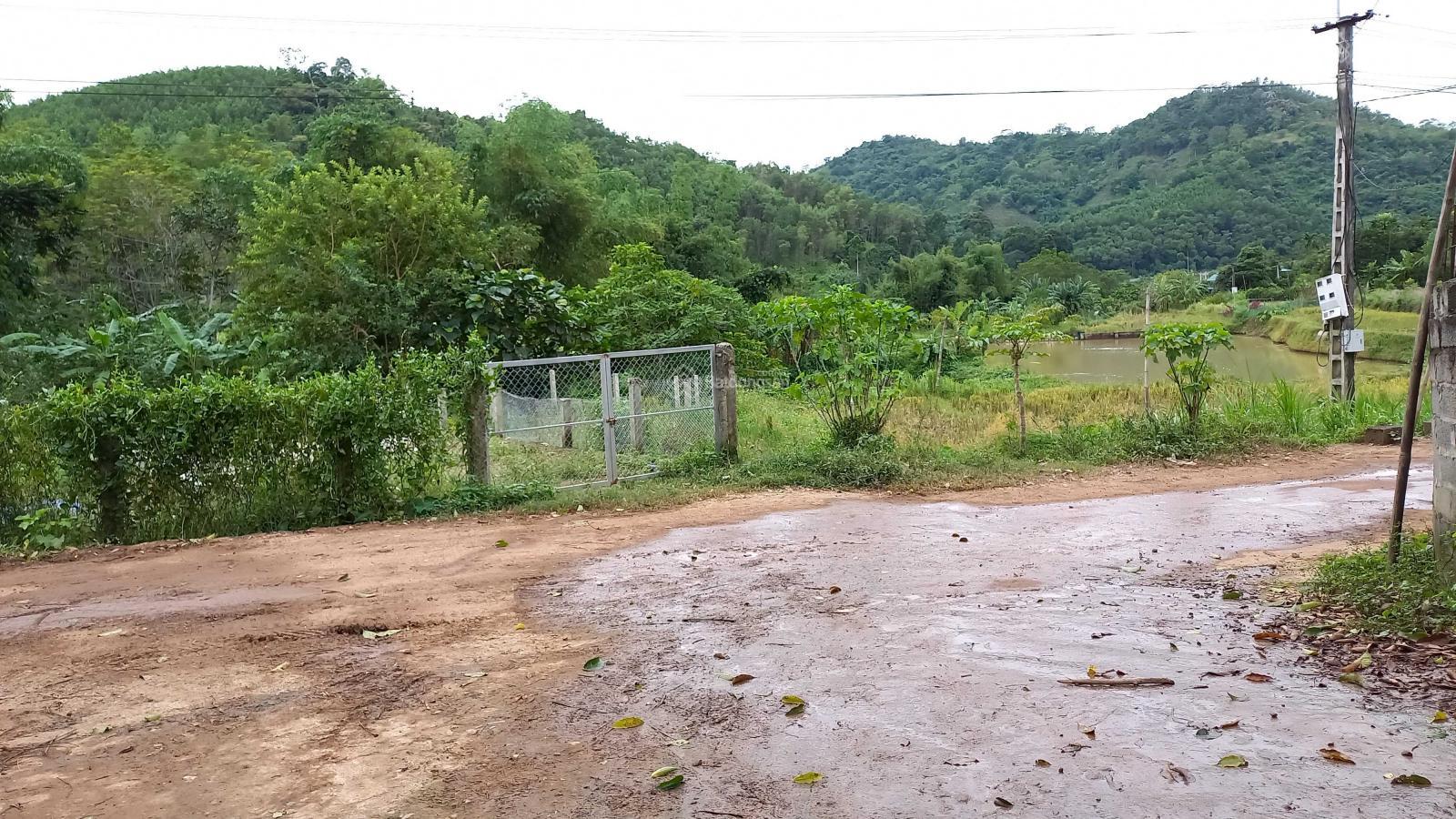Nhanh tay còn kịp, chính chủ cần bán ngay lô đất 10.000m2 đất nhà ở và đất vườn tại xã Quang Tiến
