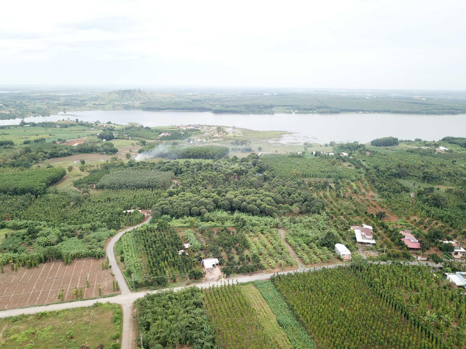 Bán lô đất 10,217m2 gần Hồ Đá Bàng - Bà Rịa - Vũng Tàu