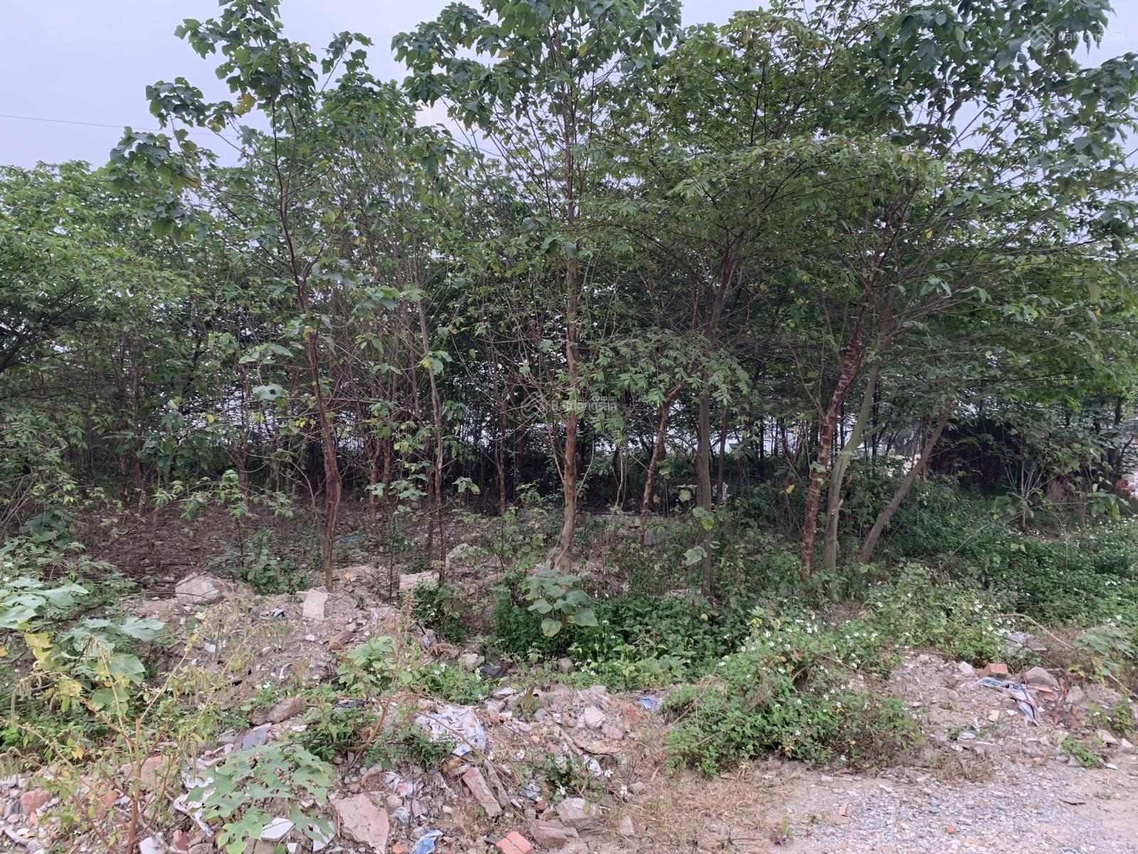 Chính chủ bán đất nuôi trồng thuỷ sản nằm gần trục đường lớn tại huyện Thanh Oai, giá rẻ