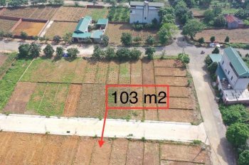 Chính chủ bán đất tái định cư Phú Cát, thổ cư 87 - 103m2, sổ đỏ, cách CNC Hoà Lạc 300m