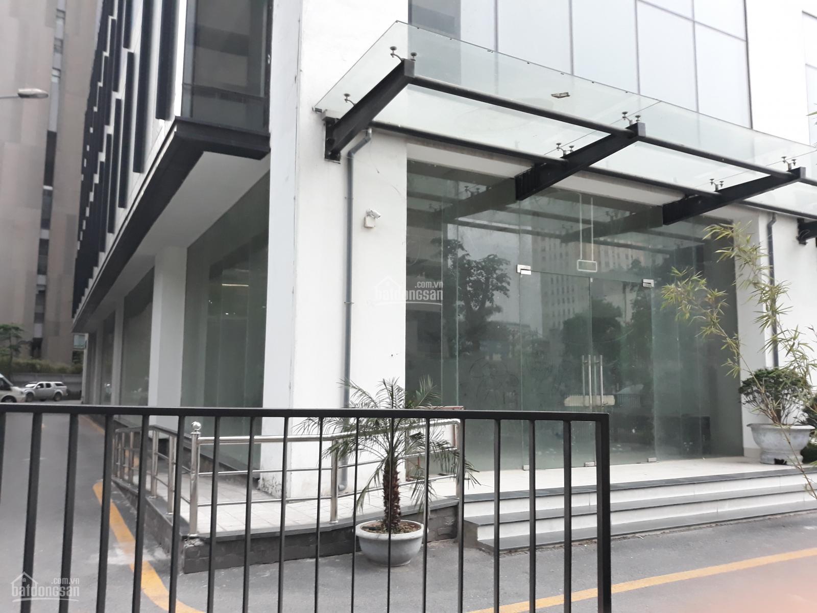 Cho thuê mặt bằng kinh doanh mặt đường Trần Bình vị trí đẹp diện tích 520 m2 KD cafe