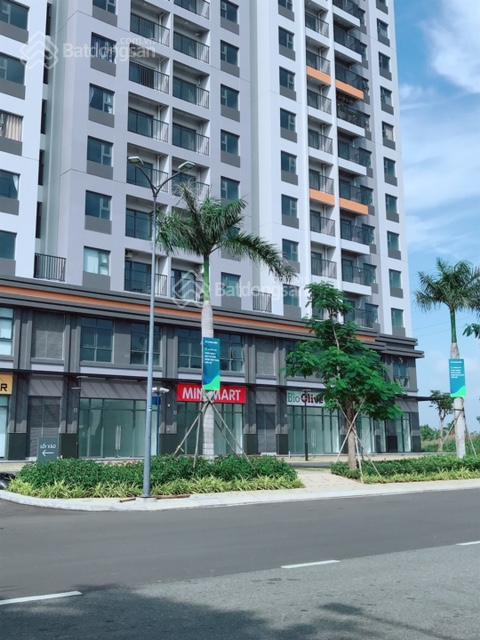 Cho thuê shophouse căn hộ Lovera Vista 175m2 căn góc 40tr ngay sảnh chính lễ tân phù hợp kinh doanh