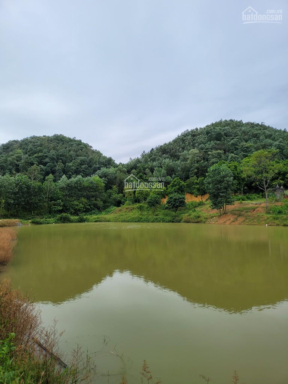Bán gần 7ha đất nghỉ dưỡng, homestay khu sinh thái Hồ Đồng Đò, Sóc Sơn