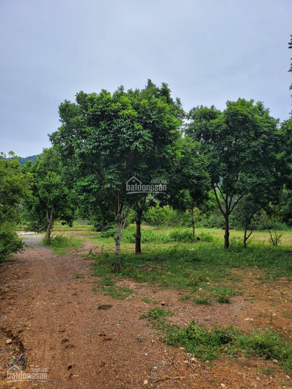 Bán đất nghỉ dưỡng, trang trại khu sinh thái Hồ Đồng Đò, Sóc Sơn