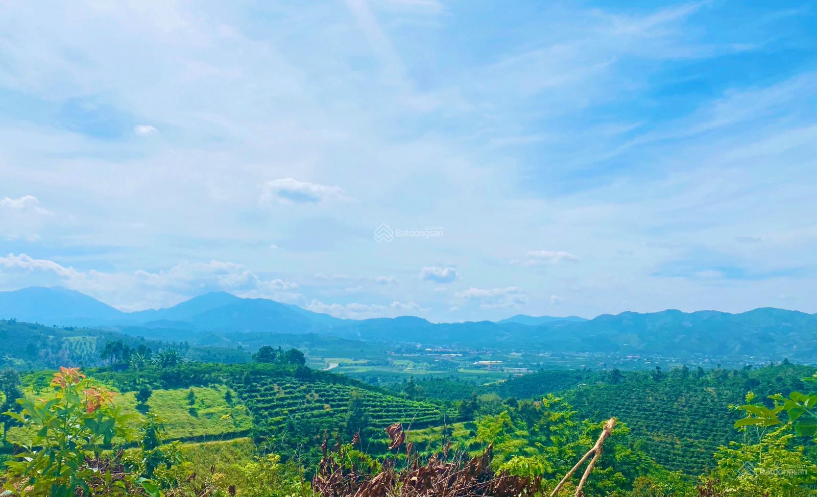 Đất thổ cư gần trung tâm Bảo Lộc, view 360 giá tốt nhất