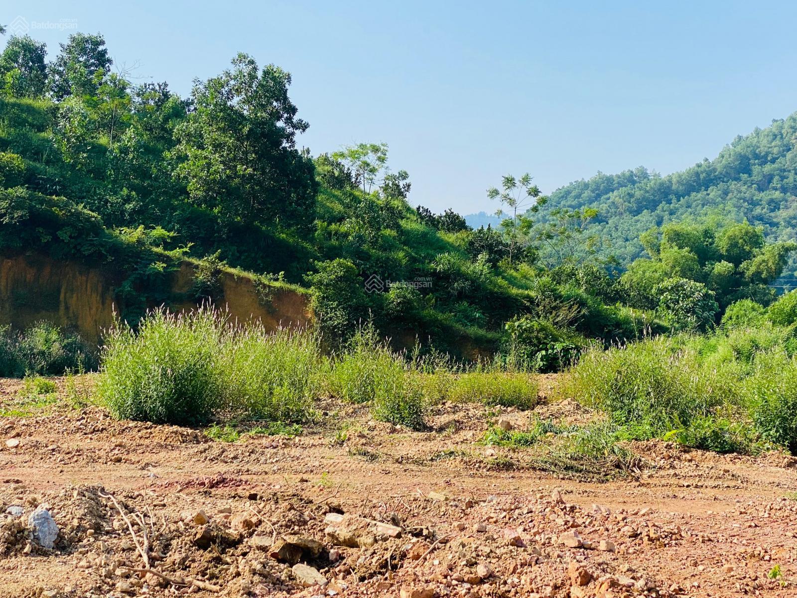 Bán nhanh mảnh đất tại Lương Sơn, Hoà Bình 6.3 ha có 400m2 thổ cư 3600m2 đất vườn còn lại đất rừng