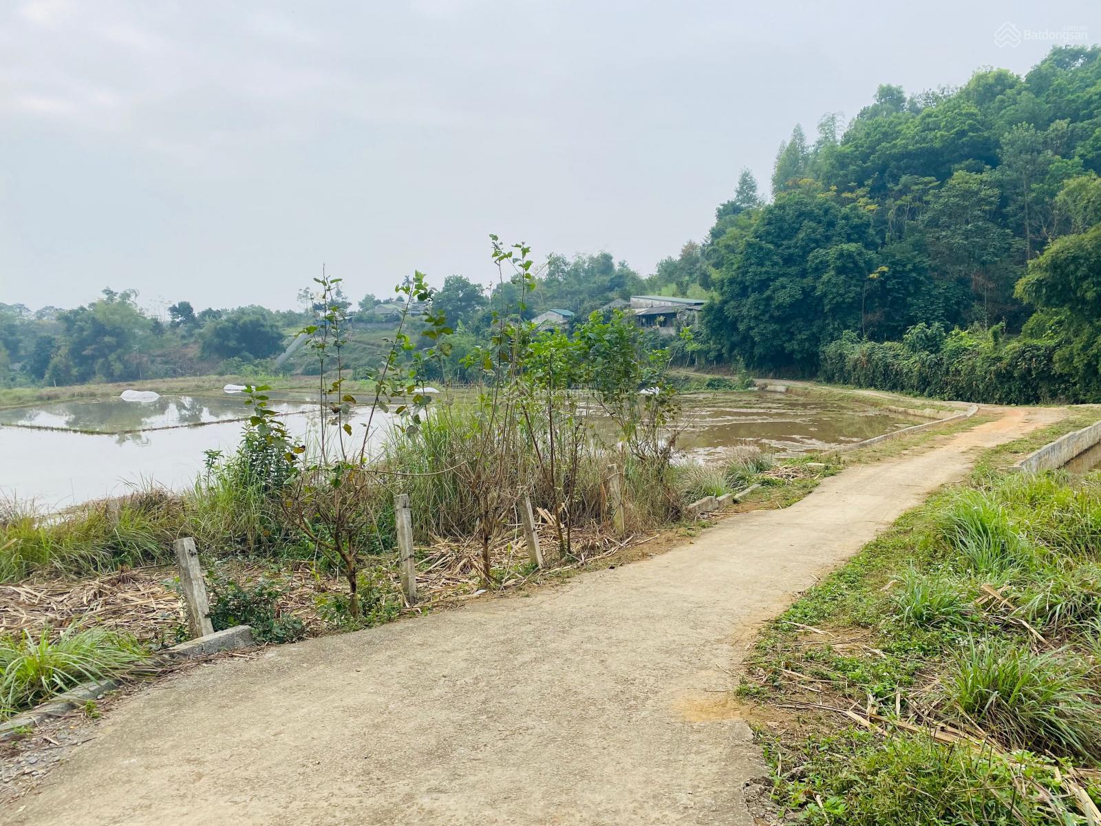 Bán đất trang trại nhà vườn tại Lương Sơn, Hoà Bình